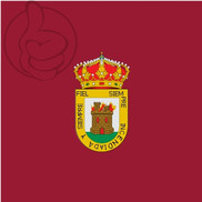 Bandera de Arenas de San Pedro