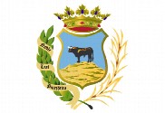 Bandera de Montoro