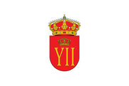 Bandera de Touro