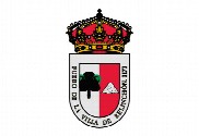 Bandera de Belinchón