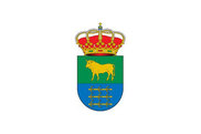 Bandera de Cañaveruelas