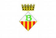 Bandera de Banyoles