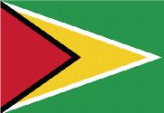 Bandera de Guyana