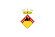 Bandera de Montagut i Oix