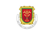 Bandera de Escudo Guadix