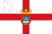 Bandera de Tudela