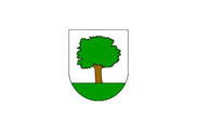 Bandera de Abaltzisketa