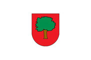 Bandera de Aduna
