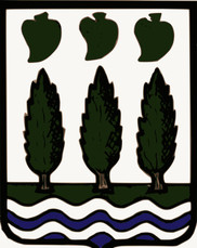Bandera de Lezo