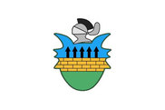 Bandera de Fueva, La