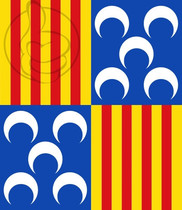 Bandera de Berga