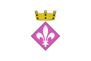 Bandera de Aspa