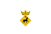 Bandera de Biosca