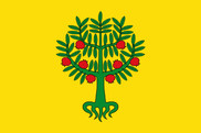 Bandera de Granyena de les Garrigues