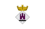 Bandera de Riner