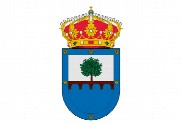 Bandera de Aldea del Fresno