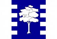 Bandera de Algarrobo