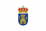 Bandera de Casares