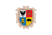 Bandera de Altsasu/Alsasua