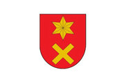 Bandera de Ancín/Antzin