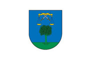 Bandera de Arce/Artzi