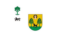 Bandera de Basaburua