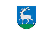 Bandera de Castillonuevo