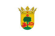 Bandera de Cintruénigo