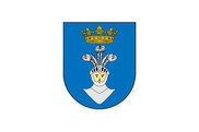 Bandera de Erro