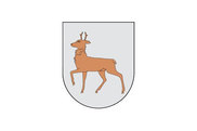 Bandera de Ibargoiti