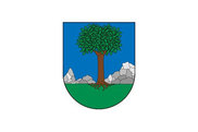Bandera de Izagaondoa