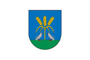 Bandera de Lizoáin-Arriasgoiti