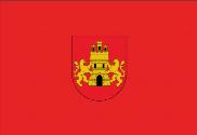 Bandera de Miranda de Arga