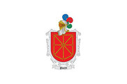 Bandera de Pueyo