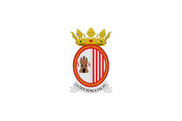 Bandera de Sangüesa/Zangoza