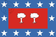Bandera de Camporredondo (Valladolid)