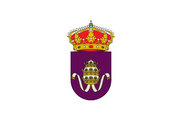 Bandera de Leiro