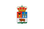 Bandera de Boal