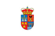 Bandera de Grandas de Salime