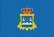 Bandera de Riosa