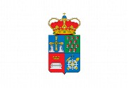 Bandera de San Martín del Rey Aurelio
