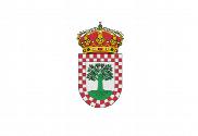 Bandera de Cañiza, A