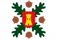Bandera de Agallas