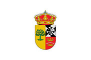 Bandera de Nava de Francia