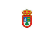 Bandera de Buenavista del Norte