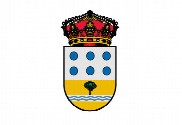 Bandera de Chañe