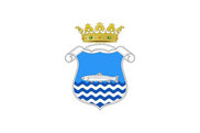 Bandera de Riaza