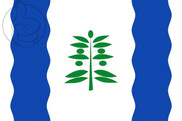 Bandera de Cinco Olivas