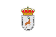 Bandera de Puebla de los Infantes, La
