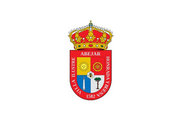 Bandera de Abejar